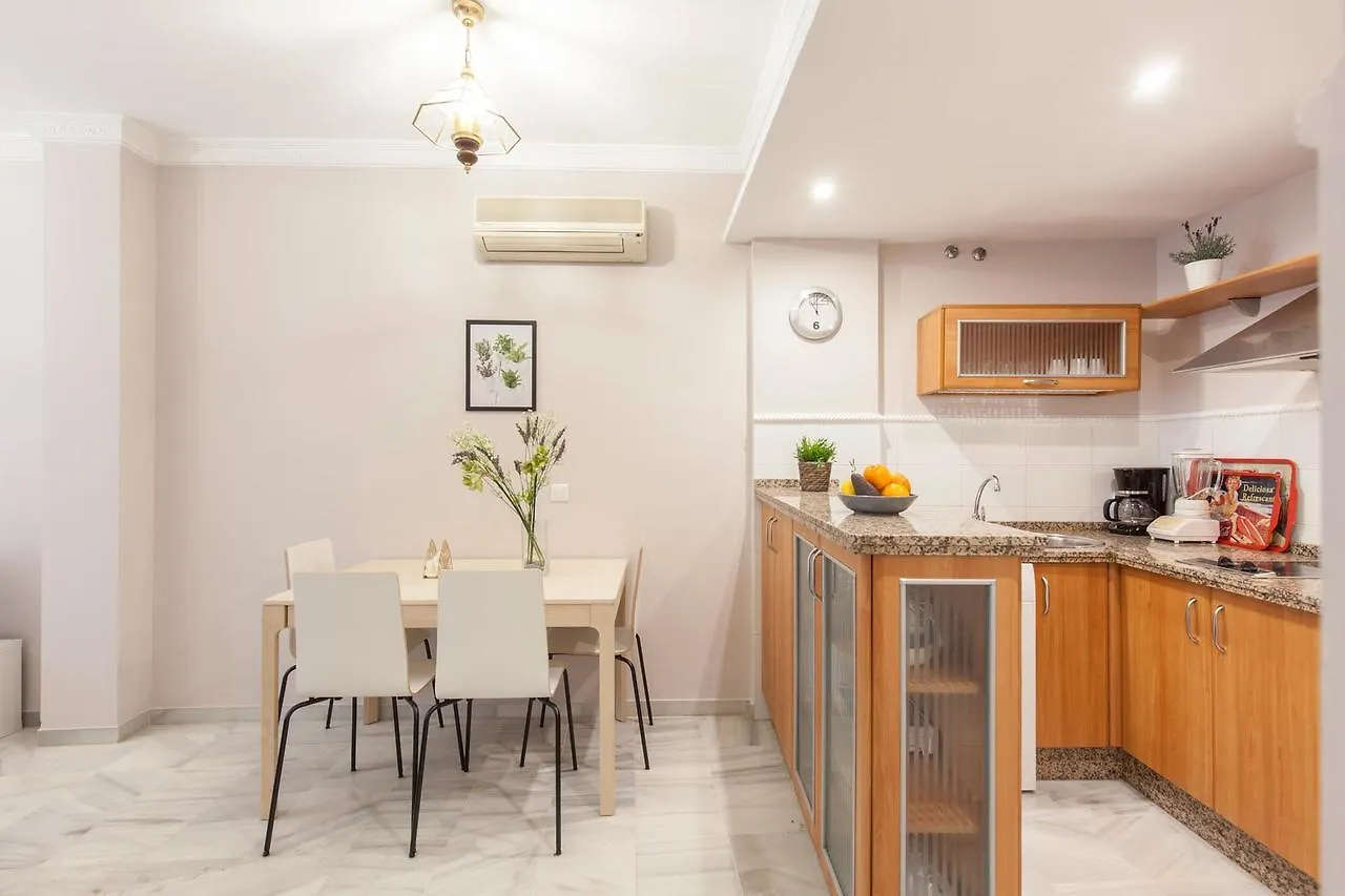 Elegante Apartamento En El Corazon De Sevilla. Seville